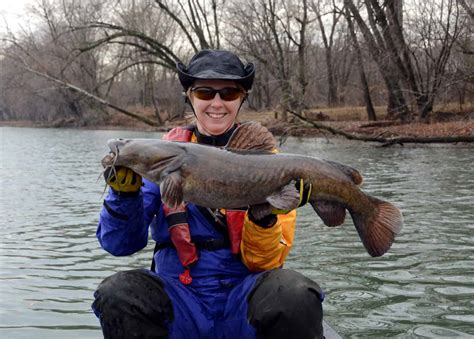 Discover The Massive Catfish That Grows To 10 Feet Long And 400 Pounds
