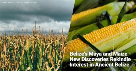 Mayan Food 9 Awesome Dishes You Should Try