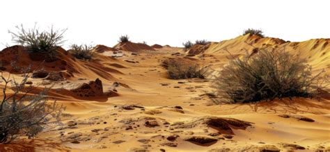 Desert Landscape Background Pngs For Free Download