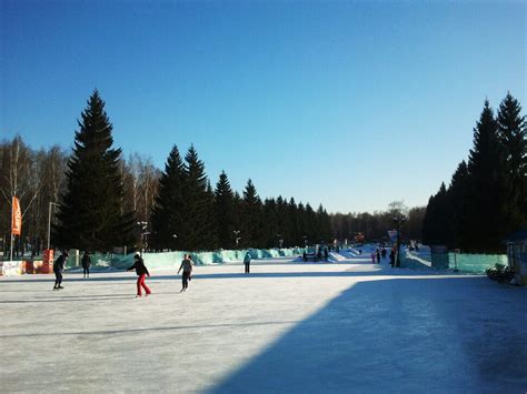 В зимнем парке - Фото Дом Солнца