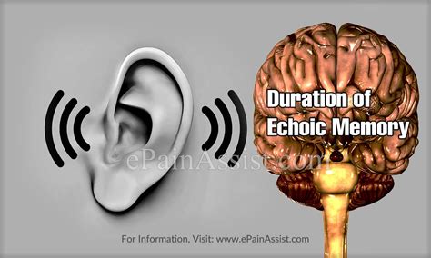 Echoic Memory