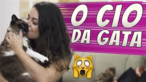 Como Acalmar Uma Gata No Cio Youtube