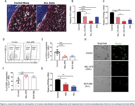 Figure From Exosome Driven Lipolysis And Bone Marrow Niche Remodeling