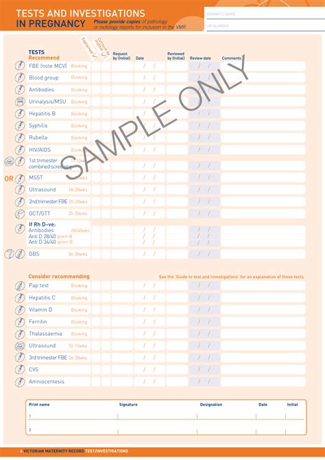 Maternity Record Sample Download Printable Pdf Templateroller