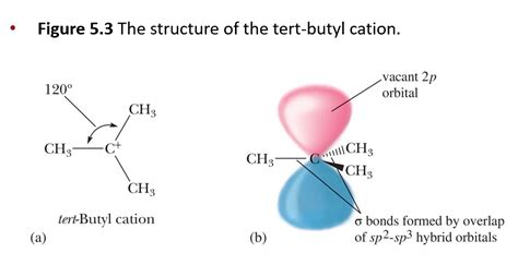 solved   explain   bfigure   cheggcom