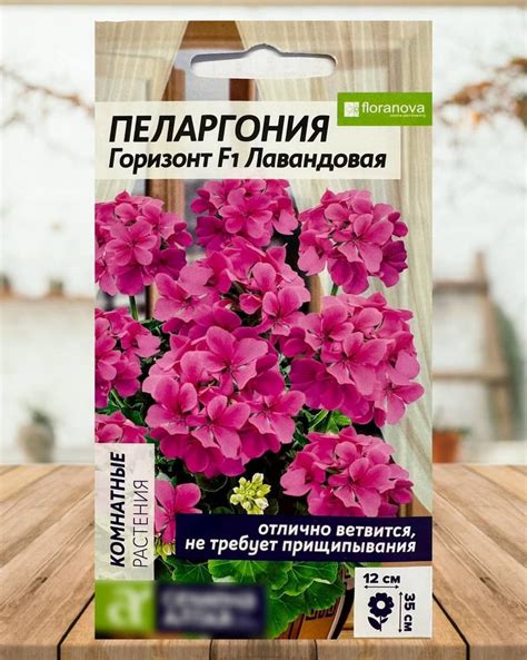 Пеларгонии (Герань) Семена Алтая многолетних цветов для дома и сада ...