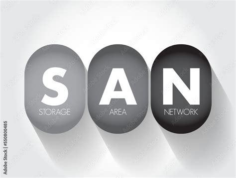 San Storage Area Network Computer Network Which Provides Access To