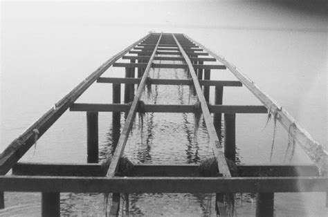 First photos I took in my life [Skina SK-102, Fomapan 200] : r/analog