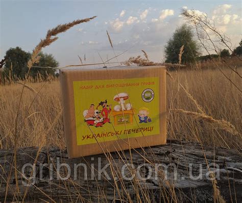 Грибная коробка для выращивания белых шампиньонов 3 в 1, цена 185 грн ...