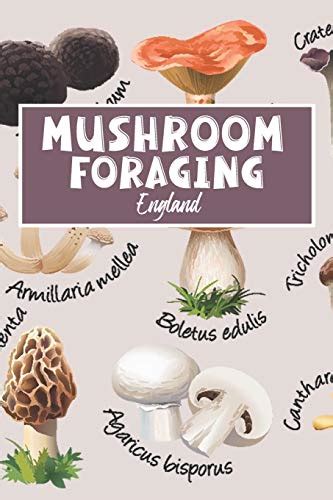 Mushroom Foraging England Wild Mushroom Hunting Logbook Tracking