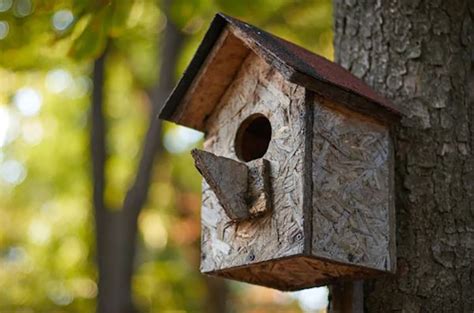 How To Attach Birdhouse To Tree
