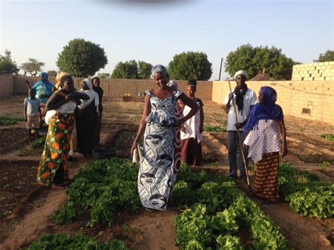 Our Story - Seed Programs