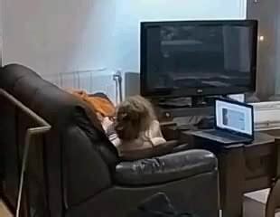 Snr She Masturbating With Dildo Free Porn XHamster XHamster