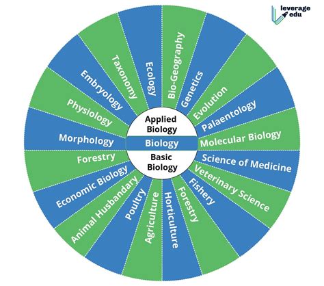 branches  biology     biology branches significance
