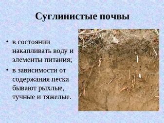 Глинистые грунты: супесь, суглинок, глина. Характеристики глинистых ...
