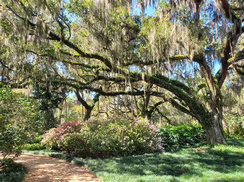 Washington Oaks Gardens State Park - Go Wandering