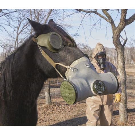 Popular Military Surplus Among Collectors, Part 3 | Sportsman's Guide