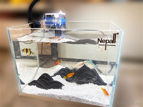 Аквариум Xiaomi Nepall Desktop Landscape Fish Tank Set Series Dry ...