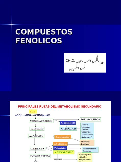 Compuestos Fenolicos 3 | PDF | Sustancias químicas | Química