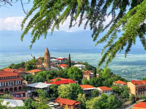 Scenic Splendors: Panoramic Tour | TRAVELSHIP