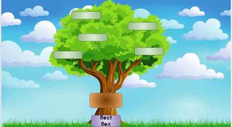 Morphology Tree For Flex Flect Quizlet Diagram Quizlet