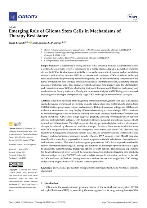 Pdf Emerging Role Of Glioma Stem Cells In Mechanisms Of Therapy