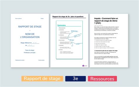 Exemple De Rapport De Stage Tri Hot Sex Picture