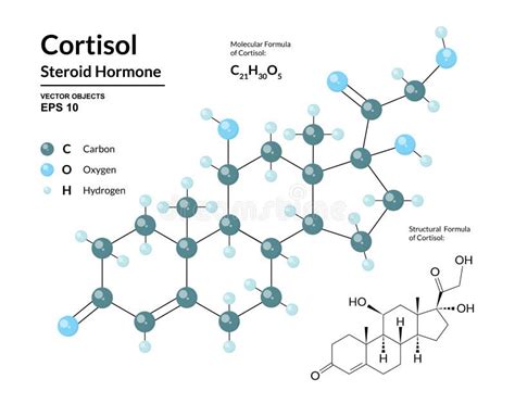 Cortisol Hormona Esteroide Fórmula Molecular E Modelo 3d Químicos