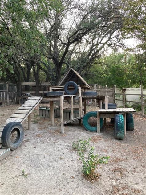 Goat Playground In 2024 Goat House Goat Playground Goat Barn