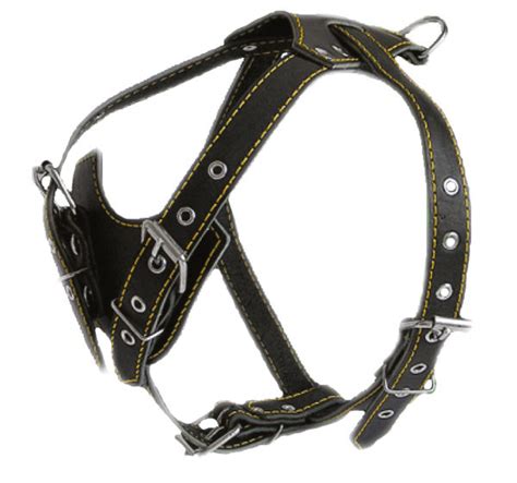 Шлеи для собак в Харькове от компании "zveryok".