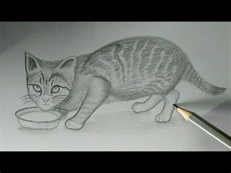 How To Draw A Pussy Cat Youtube