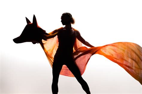 Fox - Adapted from the book by Magaret Wild and Ron Brooks — Propel ...