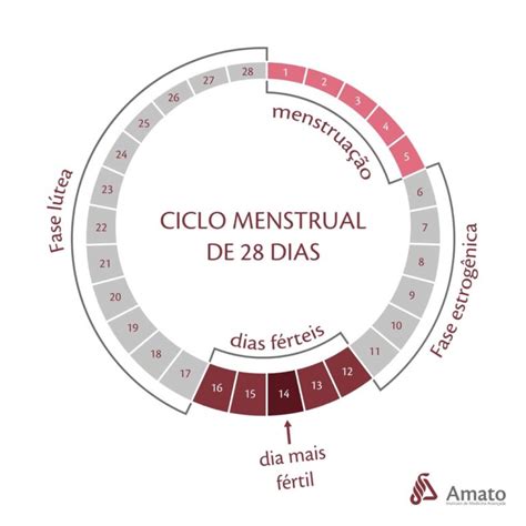 Qual A Idade Certa Para Menstruar