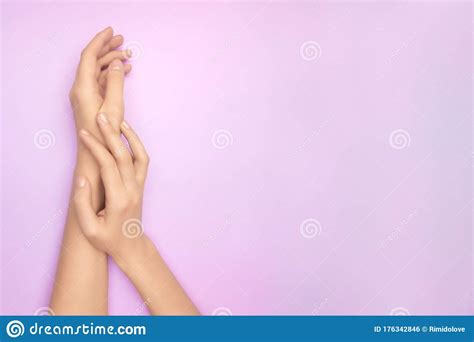 Womans Hands With A Bright Pink Gerbera Flowers On A Purple Backround