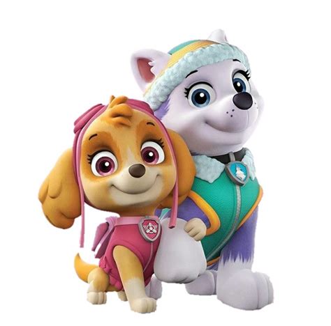 Everest Gallery Paw Patrol Wiki Fandom Everest Paw Patrol Paw