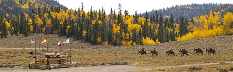 Fishlake National Forest - About the Forest