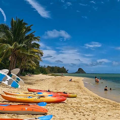 Oahu Circle Island Tour With Secret Beach | Oahu Activities