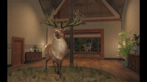 Great One Red Deer 1 After 13 400 KILLS TheHunter COTW YouTube