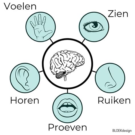 Minder stress en paniek met deze effectieve 'grounding' oefeningen