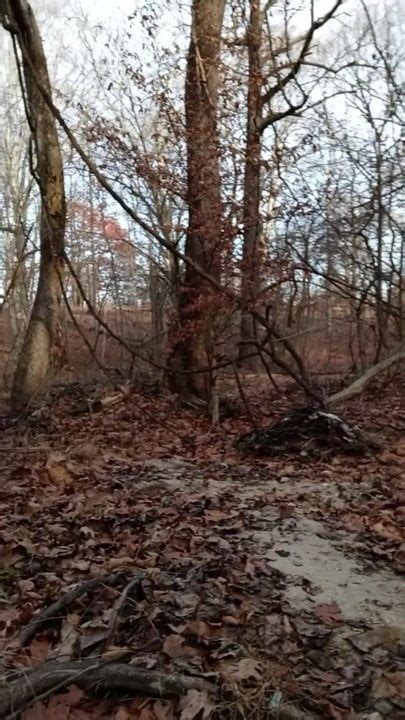 Baltimore Naked In Woods XHamster