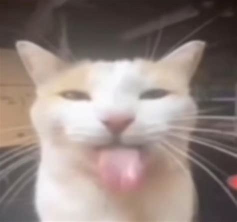 Ahm Ye So What The Fuck R BloonsPorn