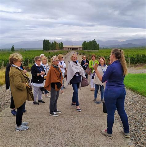 5 Best Wine tasting Tours in Argentina And Chile 2025/2026 - TourRadar