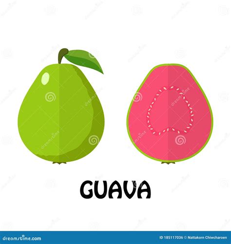 Vector Illustration Flat Guava Isolated On White Background Minimal