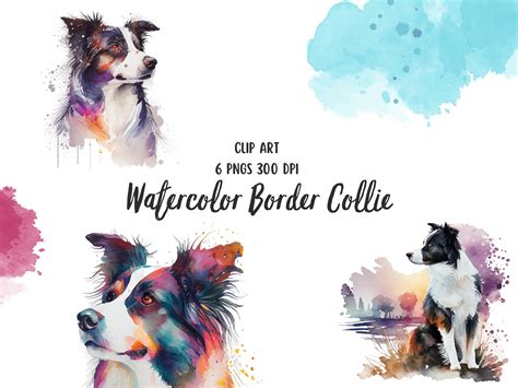 Watercolor Border Collie Clip Art Set Graphic by PatternexusCreative