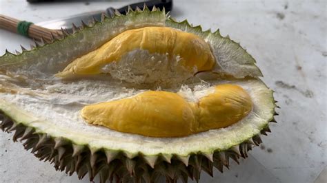 Eating Durians At Balik Pulau Penang Best Durians In Malaysia Youtube