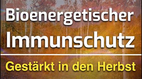 Harmonisierung des Immunsystems bioenergetische Erkältungsabwehr für