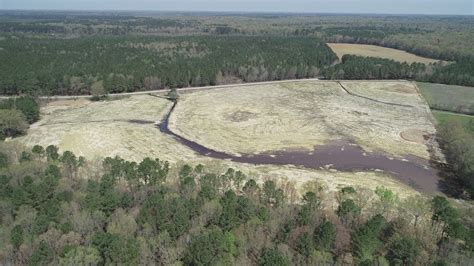 Lowlands Wetland Mitigation Site - Clearwater Mitigation