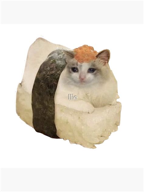 "Sushi cat meme" Poster by llie | Redbubble