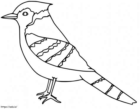 blue jay printable 4