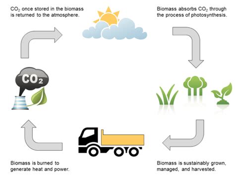 Biomass Energy Cycle